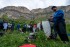 144-DSC_0054.jpg